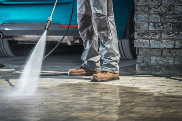 Best Animal Enclosure Cleaning  in Superior, CO